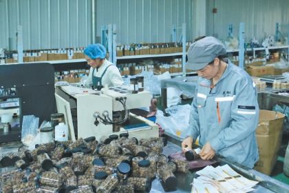 岷縣電商訂單生產忙，互聯網銷售開辟致富新路