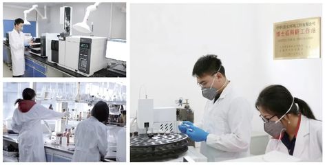 六五環境日|中科鼎實沖鋒在前，以技術創新守護綠水青山