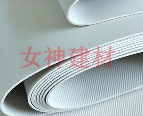 溫州sbs防水卷材 安徽女神防水建材公司